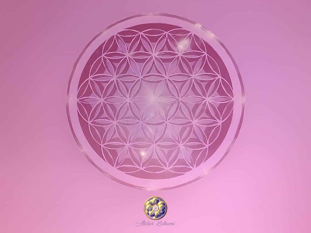 El REGISTRO AKÁSHICO EL LIBRO DE LA VIDA