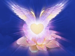 Atelier Kutumi Ceremonias de Transicion