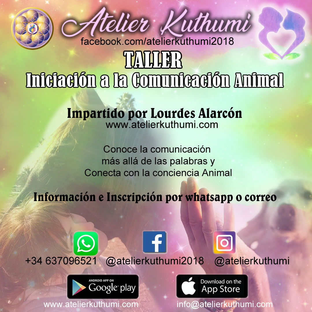 Taller de Iniciación a la Comunicación Animal: Nivel 1